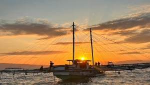 Whale Shark Tour Sumbawa – swim with whale sharks at Saleh Bay, a unique and top-rated marine adventure in Indonesia.