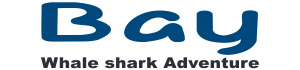 B a y logo